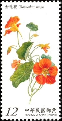 Tropaeolum majus