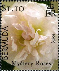 Stamp, Spice, Bermuda,  , Roses