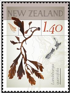 Stamp, Landsburgia quercifolia, New Zealand,  , Plants (Flora)