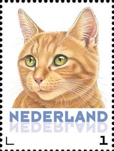 Stamp, Domestic Cat (Felis silvestris catus), Netherlands,  , Mammals, Cats, Animals (Fauna)