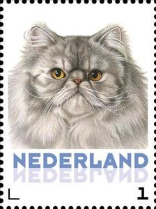 Stamp, Domestic Cat (Felis silvestris catus), Netherlands,  , Mammals, Cats, Animals (Fauna)
