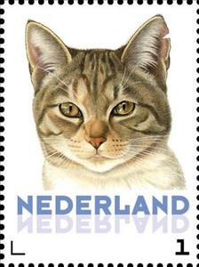 Stamp, Domestic Cat (Felis silvestris catus), Netherlands,  , Mammals, Cats, Animals (Fauna)