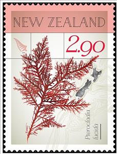 Stamp, Pterocladia lucida, New Zealand,  , Plants (Flora)