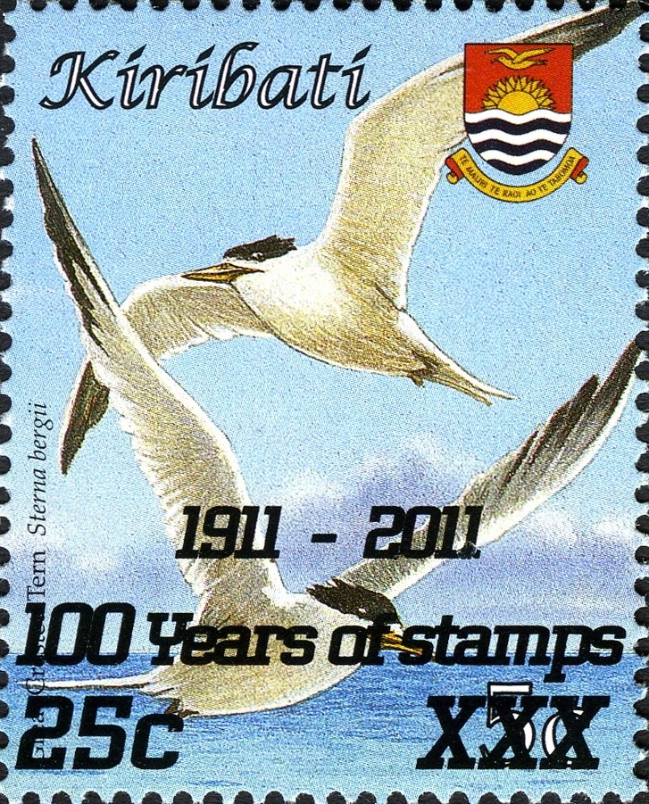 Greater Crested Tern (Thalasseus bergii)