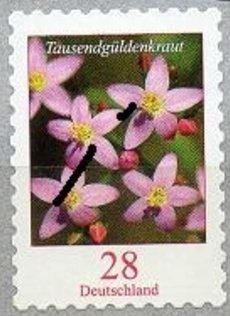 Selfadhesive Tausendgüldenkraut