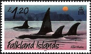 Stamp, Killer Whale (Orcinus orca), Falkland Islands,  , Whales