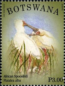 Stamp, African Spoonbill (Platalea alba), Botswana,  , Birds, Animals (Fauna)