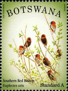 Stamp, Southern Red Bishop (Euplectes orix), Botswana,  , Birds, Animals (Fauna)