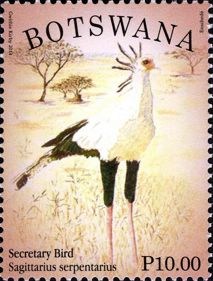 Secretarybird (Sagittarius serpentarius)