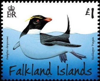 Southern Rockhopper Penguin (Eudyptes crestatus)