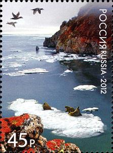 Stamp, Walrus (Odobenus rosmarus) on Ice Floes in a Bay of Wrangel , Russia,  , Landscapes, Birds, Sea (Marine) Mammals, Sea Life, Islands, National Parks