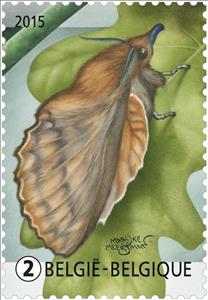 Stamp, The Lappet (Gastropacha quercifolia), Belgium,  