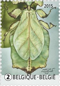 Stamp, Giant Leaf Insect (Phyllium giganteum), Belgium,  , Insects
