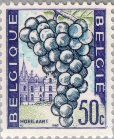 Grapes and houses, Hoeilaart
