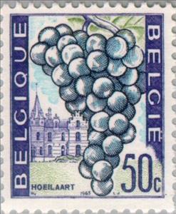 Stamp, Grapes and houses, Hoeilaart, Belgium,  , Houses, Tourism, Fruits, Viticulture