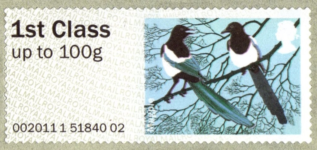 Eurasian Magpie (Pica pica)