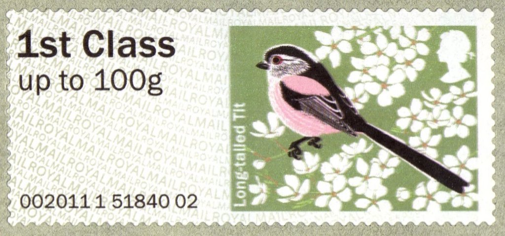 Long-tailed Tit (Aegithalos caudatus) 