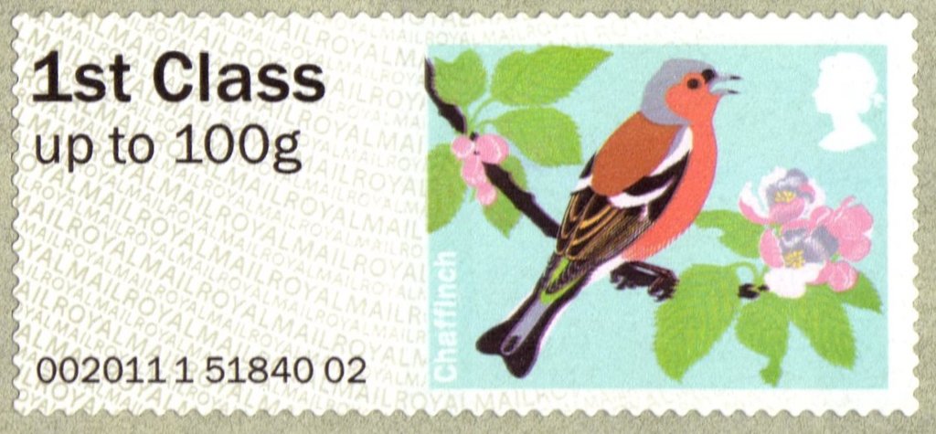 Common Chaffinch (Fringilla coelebs)