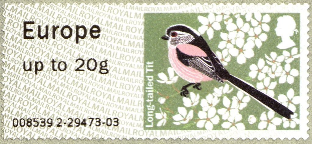 Long-tailed Tit (Dendrobates tinctorius)