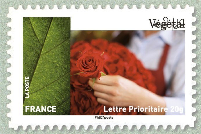 Végétal