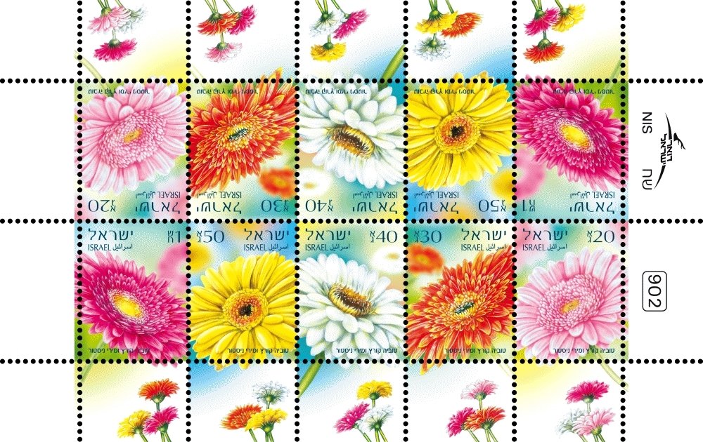 Gerberas - Special sheet