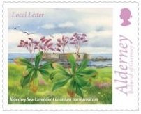 Sea Lavander