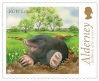 Mole (Talpa europaea)