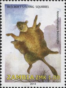 Stamp, Beecroft's Flying Squirrel (Anomalurus beecrofti), Zambia,  , Mammals, Animals (Fauna)