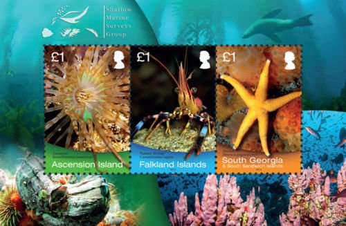 Marine Life