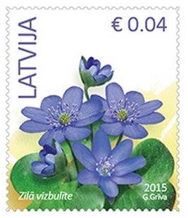 Hepatica nobilis
