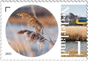 Stamp, Reed, Netherlands,  