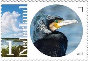 Stamp, Great Cormorant (Phalacrocorax carbo), Netherlands,  , Birds, Animals (Fauna)
