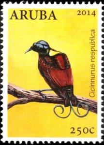 Stamp, Wilson's Bird-of-paradise (Cicinnurus respublica), Aruba,  