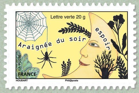 "Spider evening gives hope"