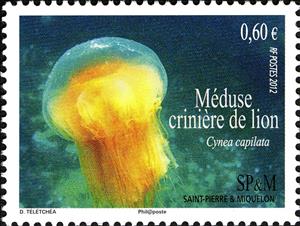 Stamp, Lion's mane jellyfish (Cyanea capillata), Saint Pierre and Miquelon,  , Sea Life