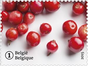 Stamp, Forgotten fruit: Cranberry, Belgium,  , Fruits