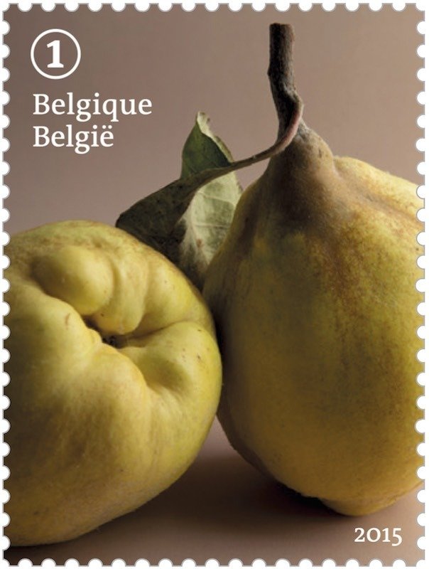 Forgotten fruit: Quince