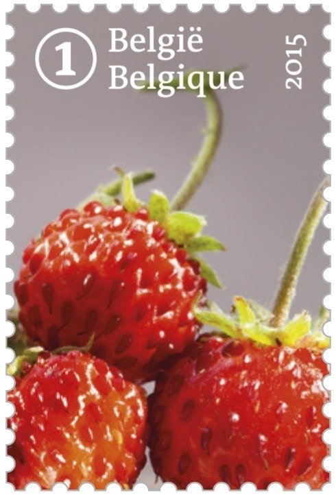 Forgotten fruit: Woodland Strawberry