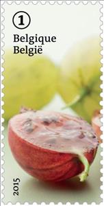 Stamp, Forgotten fruit: Gooseberry, Belgium,  , Fruits