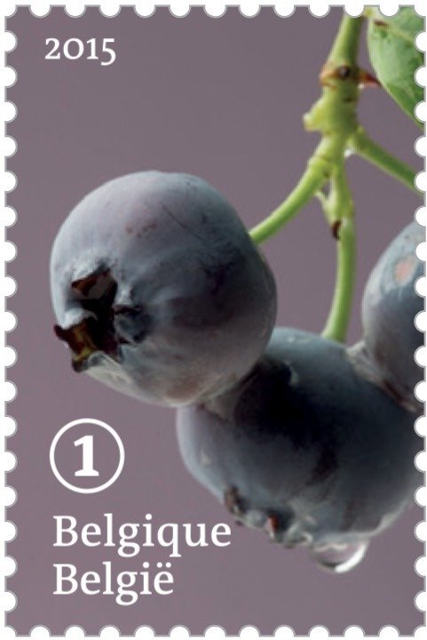Forgotten fruit: Blueberry