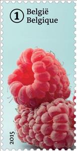 Stamp, Forgotten fruit: Loganberries, Belgium,  , Fruits