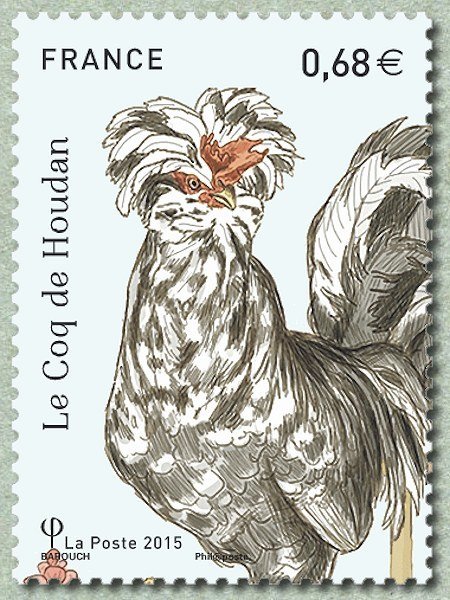 The rooster Houdan