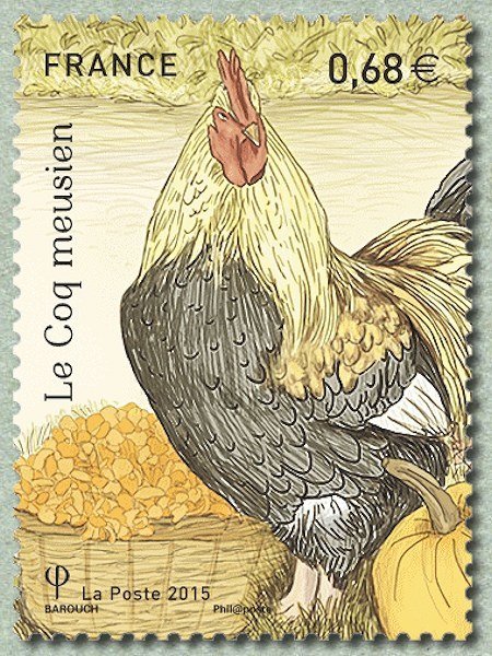 The Meuse cock