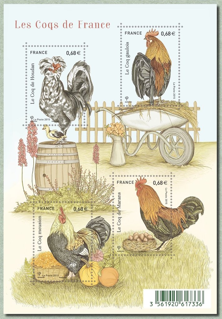 The Roosters France