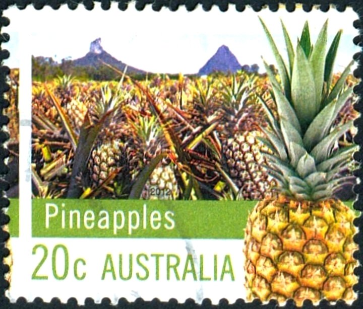 Pineapples
