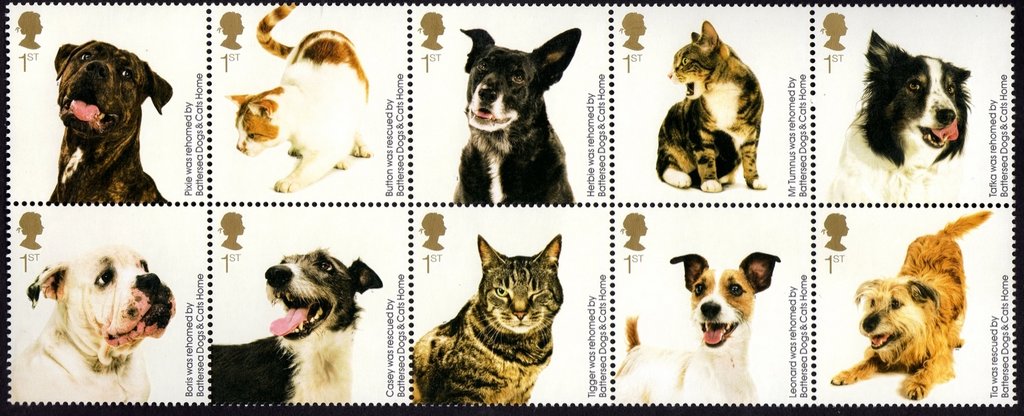 Battersea Dogs Home - Cats and Dogs