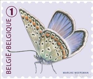 Stamp, Common Blue (Polyommatus icarus), Belgium,  , Insects, Butterflies, Animals (Fauna)