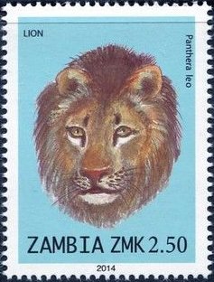 Stamp, Lion (Panthera leo), Zambia,  , Mammals, Лев, Animals (Fauna)