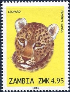 Stamp, Leopard (Panthera pardus), Zambia,  , Mammals, Leopards, Animals (Fauna)