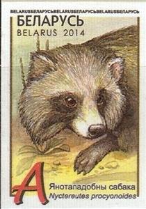 Stamp, Raccoon Dog (Nyctereutes procyonoides), Belarus,  , Animals (Fauna)